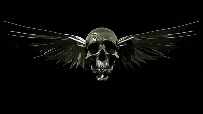 Metallic skull with wings