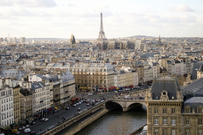 Paris cityscape with Eiffel Tower and Seine River