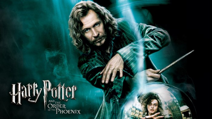 Sirius Black and Bellatrix Lestrange from Harry Potter and the Order of the Phoenix