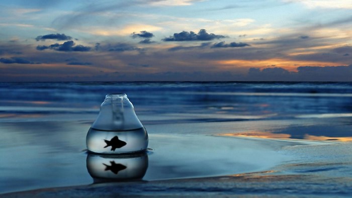 Fish in a lightbulb on a beach at sunset