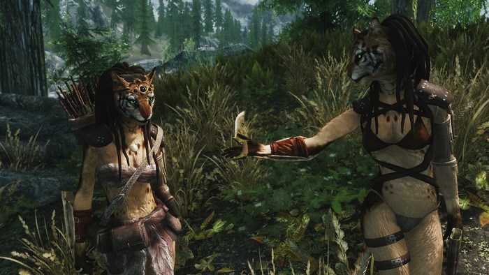 Two Khajiit characters in a forest