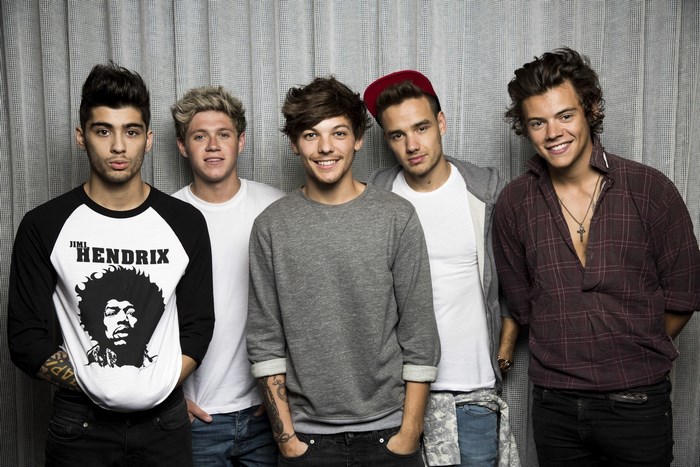 One Direction group portrait