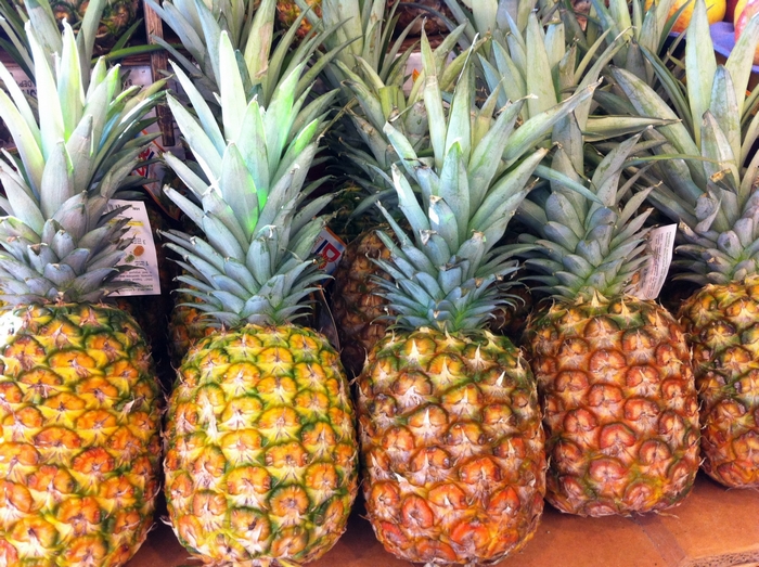 A row of ripe pineapples with green leaves