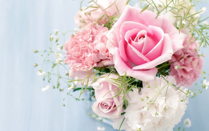 Pink roses and carnations with baby's breath