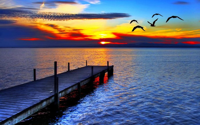 Sunset over the water with a wooden pier and birds