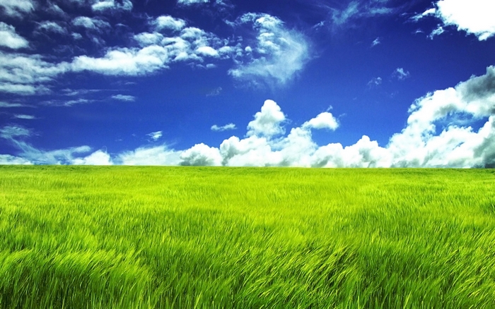 Green field under a blue sky with clouds