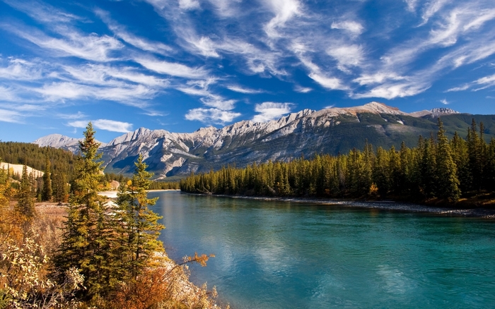 Turquoise river flowing past pine forest and mountains