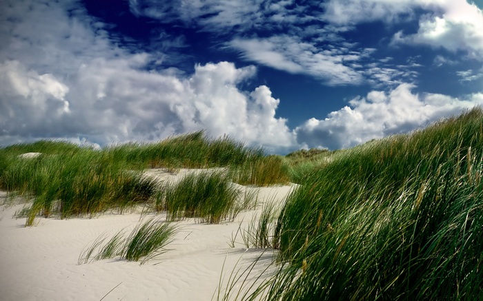Grassy sand dunes under a cloudy blue sky
