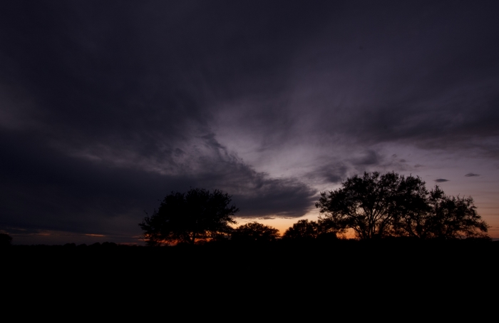 Dark clouds over silhouetted trees at sunset