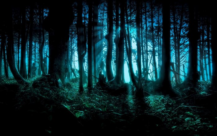 Dark forest with blue light and sunbeams