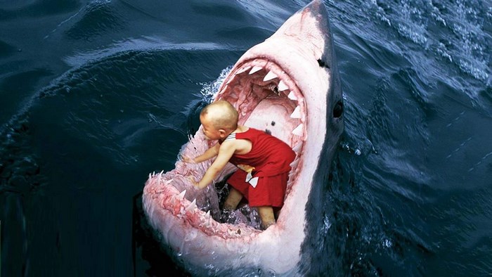 Child Inside a Great White Shark's Mouth