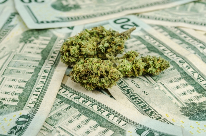 Marijuana buds on US dollar bills