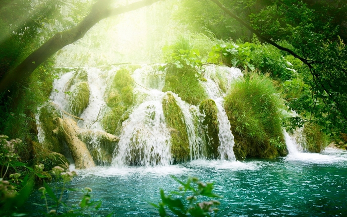 Waterfall in a lush green forest with sunbeams