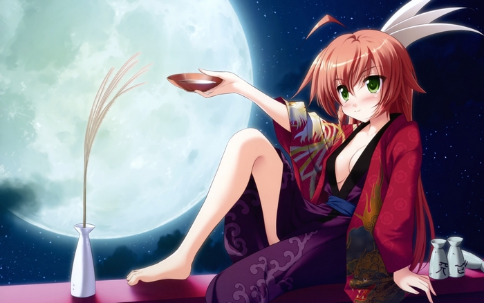 Anime girl in kimono with sake cup under the moon