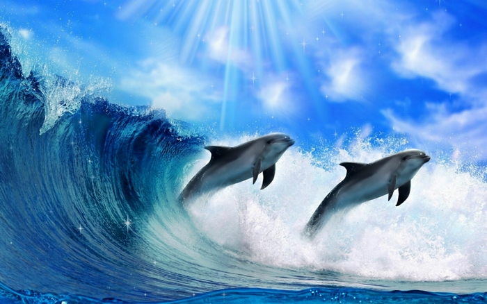 Two dolphins jumping out of a wave
