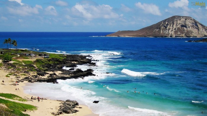 Beach with surfers and island in Hawaii