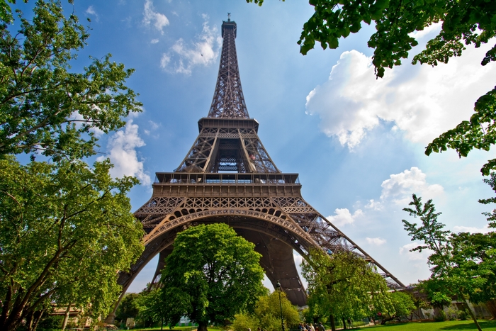 Eiffel Tower in Paris surrounded by trees