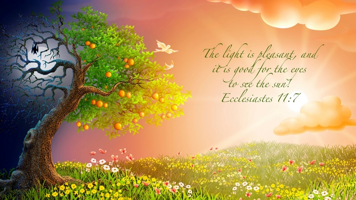 Tree of Day and Night with Bible Verse