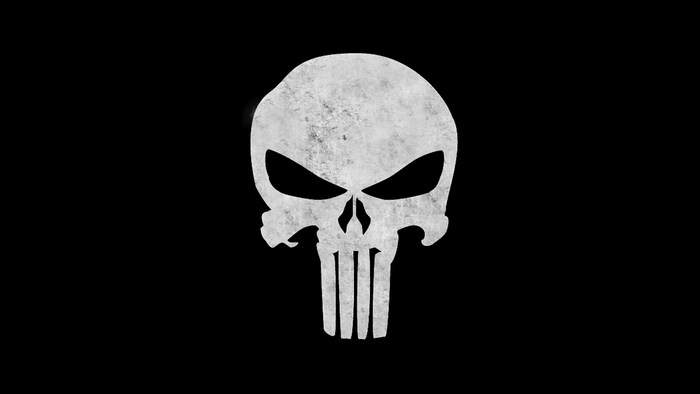 The Punisher Skull Logo
