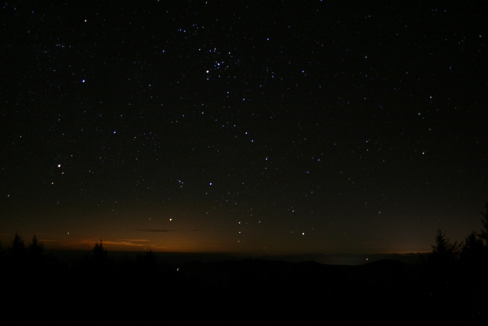 Night sky with stars over trees