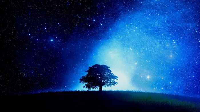 Lone tree under a starry night sky