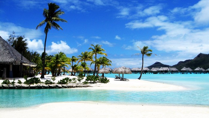 Tropical beach with overwater bungalows and palm trees