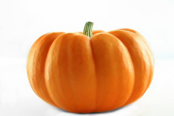Orange pumpkin with green stem