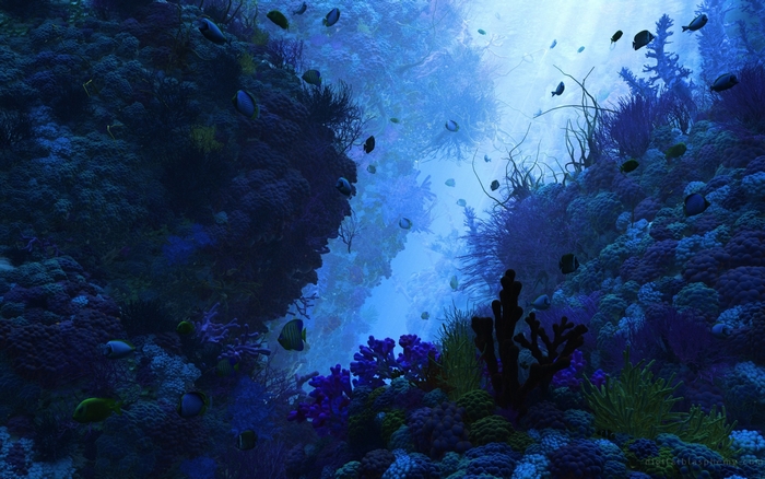 Underwater coral reef with fish