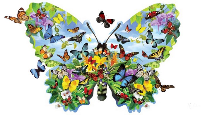 Colorful Butterfly Shape Made of Multiple Butterflies