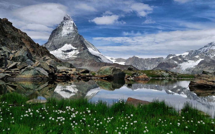Matterhorn reflected in a mountain lake with flowers