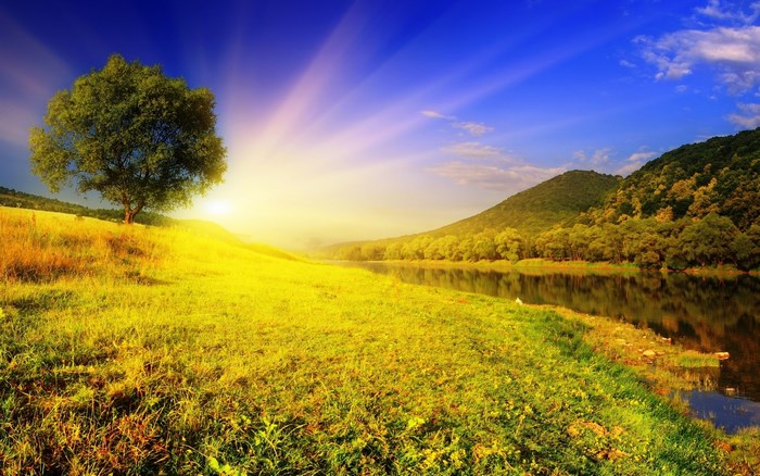 Sunrise over a river valley with a lone tree