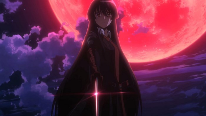 Akame from Akame ga Kill