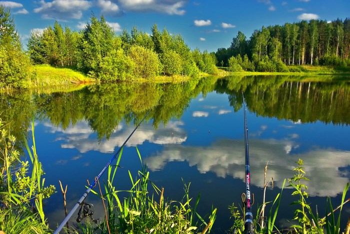 Fishing rods by a lake with reflections