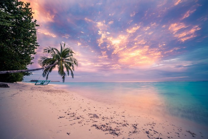 Tropical beach with palm tree at sunset