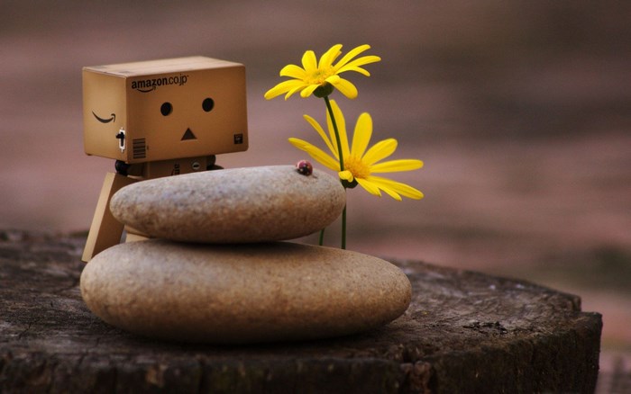 Danbo Amazon toy with flowers and stones
