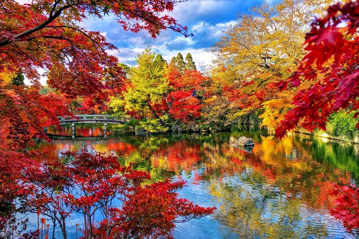 Japanese garden with a bridge and autumn foliage
