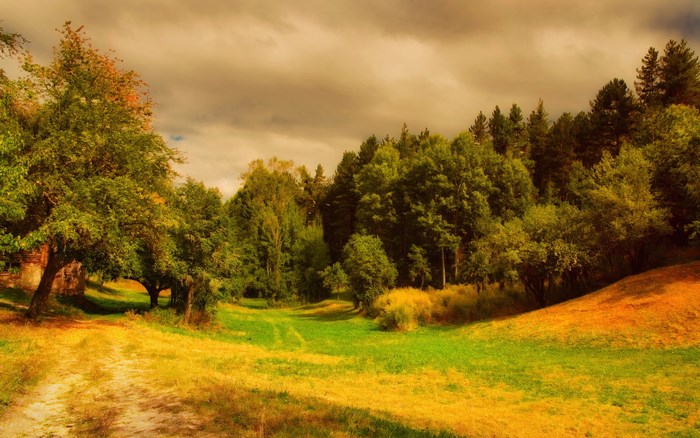 Autumn landscape with trees and a path