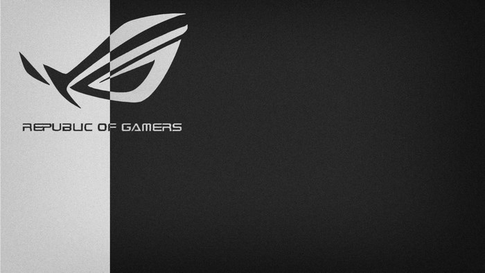 Republic of Gamers logo and text
