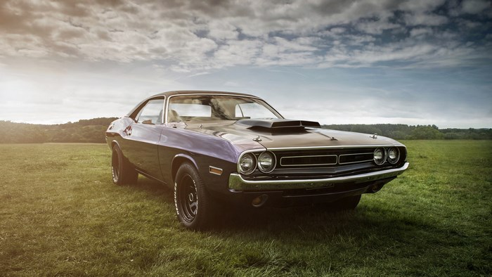 4K Dodge Challenger in a Field