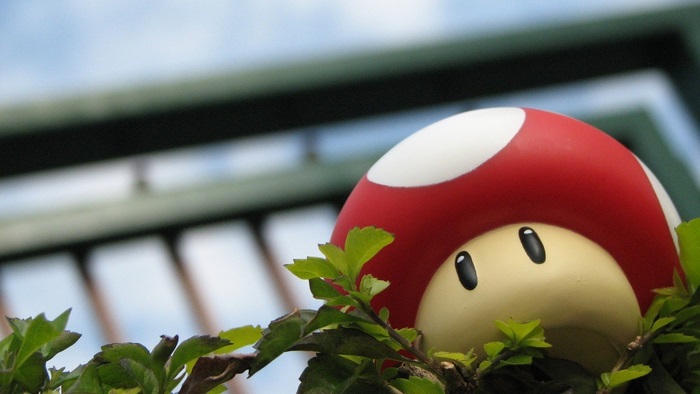 Super Mario Mushroom peeking from leaves