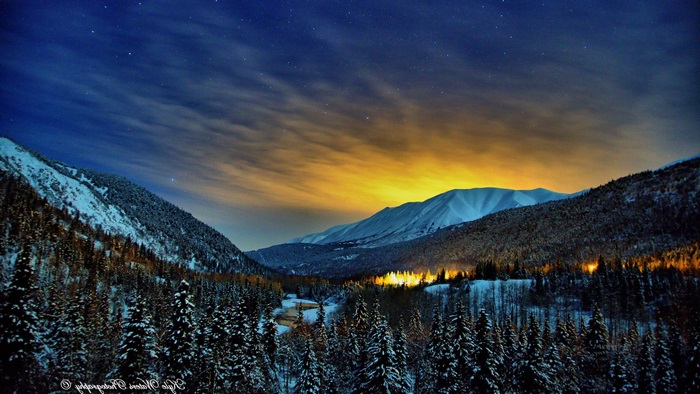 Snowy mountains and forest under starry night sky