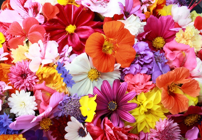 A vibrant bouquet of colorful flowers