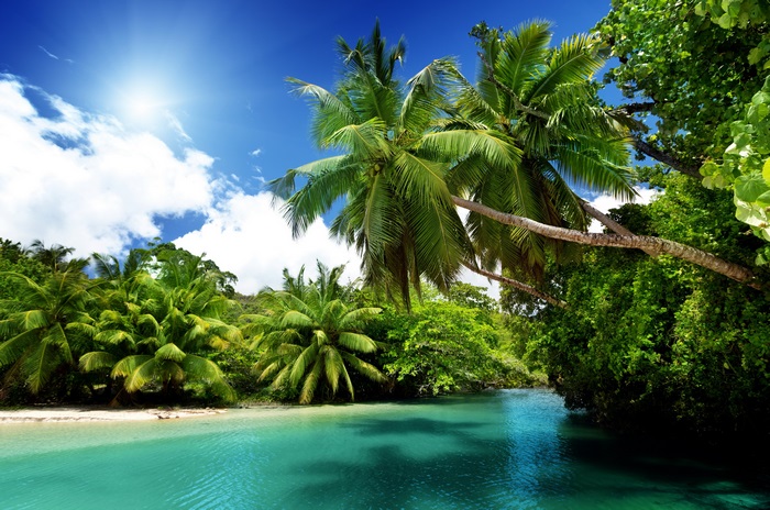 Tropical island with palm trees and turquoise water