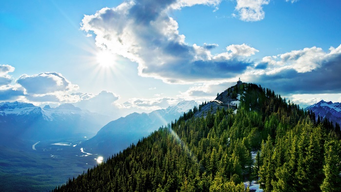 Sunlit Mountain Landscape with Pine Forest 4K