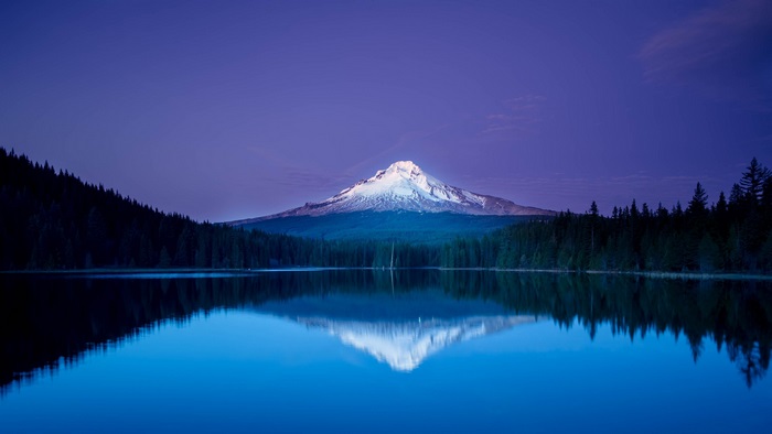 Mount Hood reflected in Trillium Lake at dusk