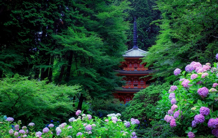 Red pagoda surrounded by lush green trees and hydrangeas
