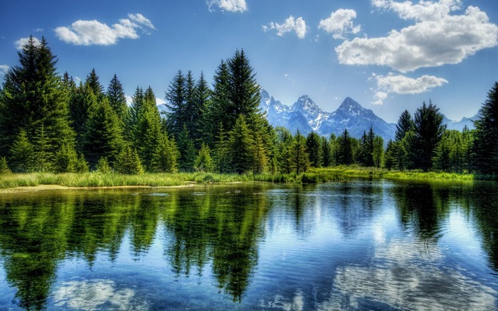 Trees and mountains reflected in a lake