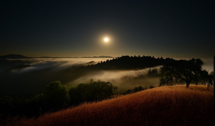 Moonlit foggy valley with starry night sky