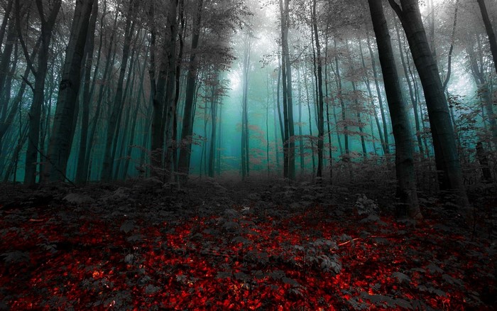 Mysterious forest with red leaves and blue mist