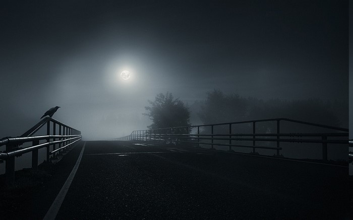 Crow on a bridge under the moon at night